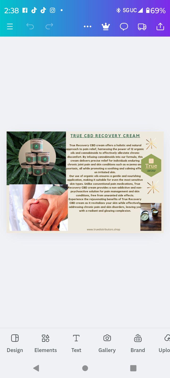 True CBD Recovery Cream flyer